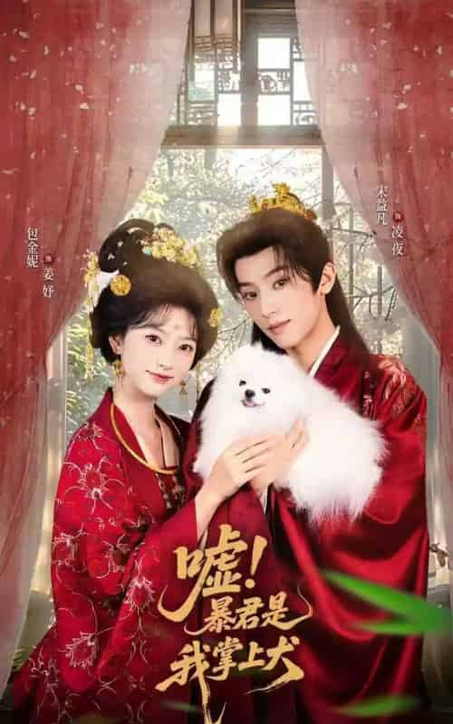 嘘暴君是我掌上犬＆废妃逆袭陛下借宠识真心（40集全）包金妮＆宋益凡-紫橙资源网