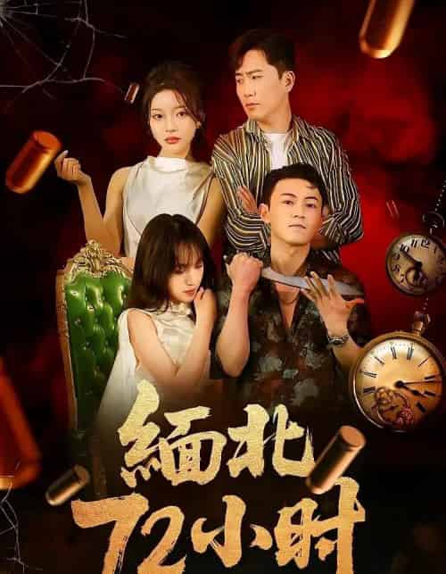 缅北72小时（43集）-紫橙资源网