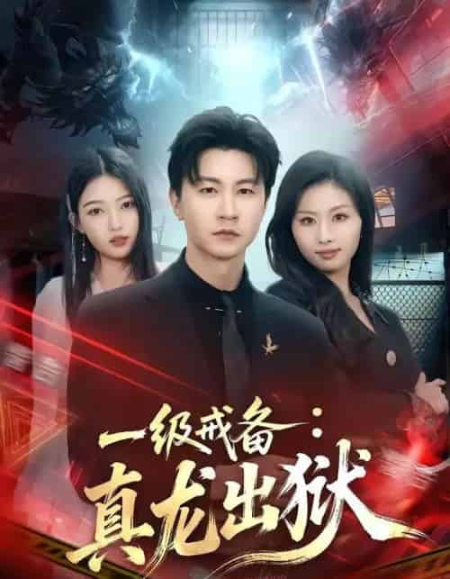 一级戒备：真龙出狱（73集全）王鹏＆千文-紫橙资源网
