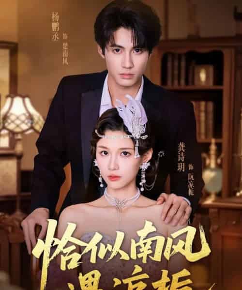 恰似南风遇凉栀（70集全）杨鹏丞＆龚诗玥-紫橙资源网