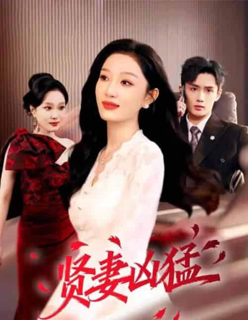 贤妻凶猛(60集全)孙子航&韩惟-紫橙资源网