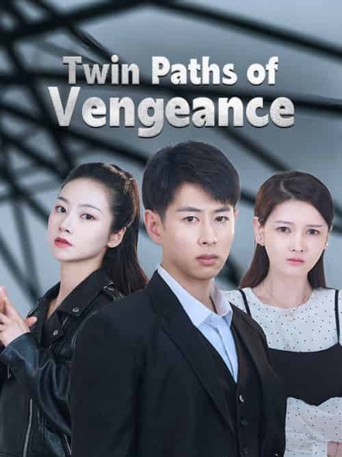 Twin Paths of Vengeance（87 episodes）-紫橙资源网