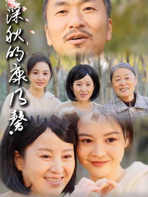 深秋的康乃馨（90集）-紫橙资源网