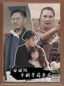 团圆饭手撕奇葩亲戚（40集全）-紫橙资源网