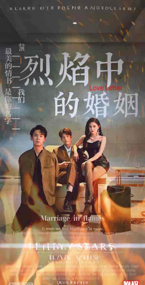 烈焰中的婚姻（32集全）-紫橙资源网