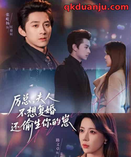 厉总，夫人不想复婚还偷生你的崽（80集全）张屹杨＆路文卓-紫橙资源网