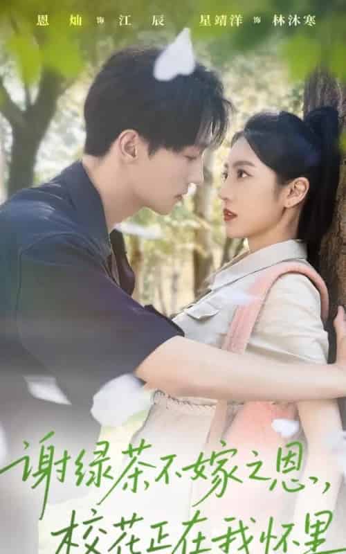 谢绿茶不嫁之恩校花正在我怀里（56集全）星靖洋＆恩灿-紫橙资源网