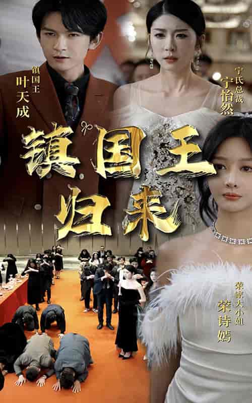 镇国王归来（95集）-紫橙资源网