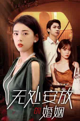 无处安放的婚姻（41集）王一晴-紫橙资源网