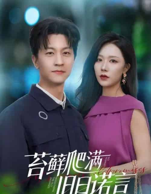 苔藓爬满旧日诺言（83集）王鹏＆钟莹玲-紫橙资源网