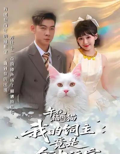 午夜缅因猫我的饲主竟是命中注定（66集全）白龙＆王之遥-紫橙资源网