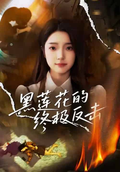 黑莲花的终极反击（60集全）鲁倩倩-紫橙资源网