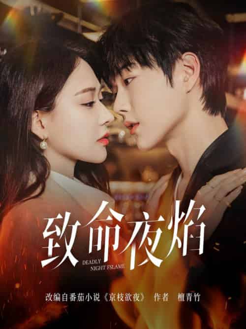 致命夜焰（80集全）王轩＆何适-紫橙资源网