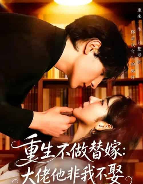重生不做替嫁:大佬他非我不娶(80集全)李紫未&于散-紫橙资源网