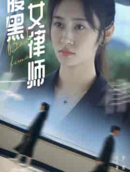 腹黑女律师（86集）-紫橙资源网