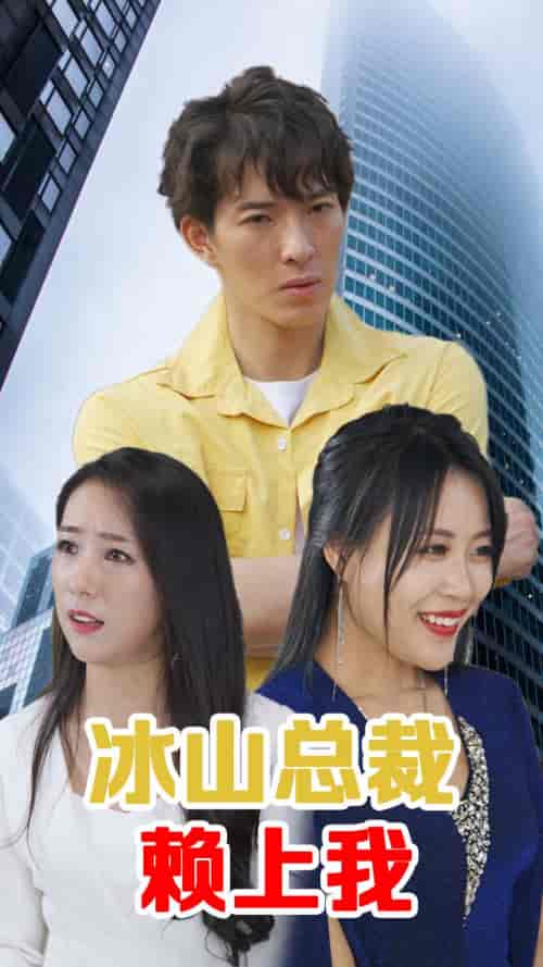 冰山总裁赖上我-110集-紫橙资源网