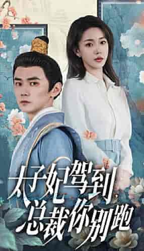 太子妃驾到，总裁你别跑（80集）-紫橙资源网