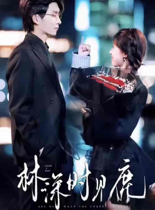 林深时见鹿（96集）-紫橙资源网