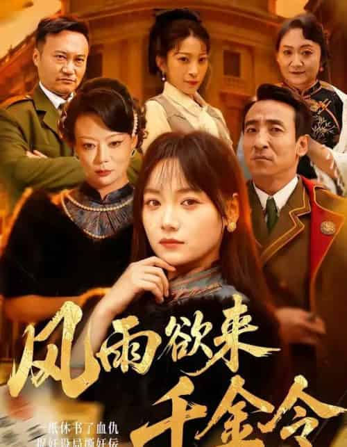 风雨欲来千金令(60集全)黄小再&王嘉儒-紫橙资源网