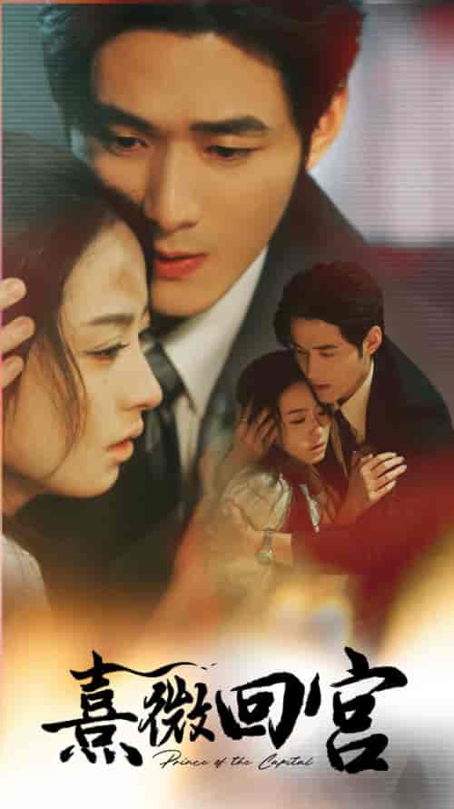 熹微回宫（61集全）王艺阳＆孟佳辉-紫橙资源网