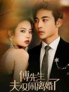 傅先生夫人又闹离婚了(80集)李艺璇-紫橙资源网