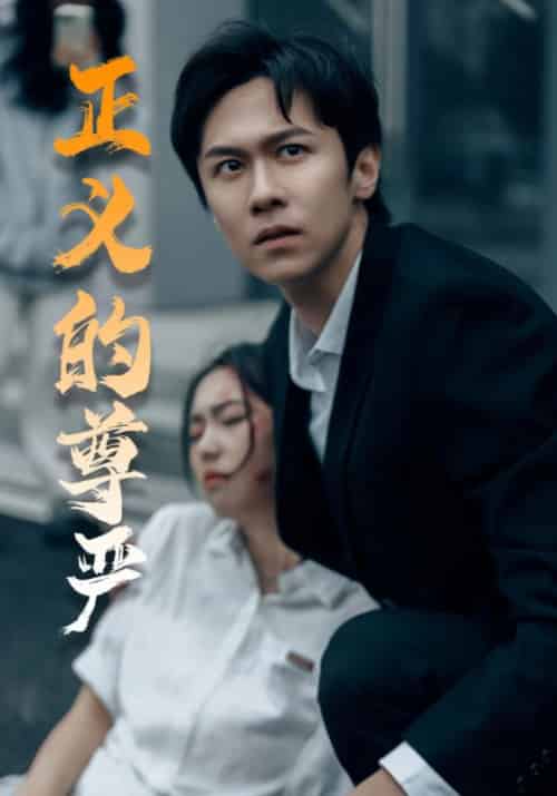 正义的尊严（35集全）-紫橙资源网