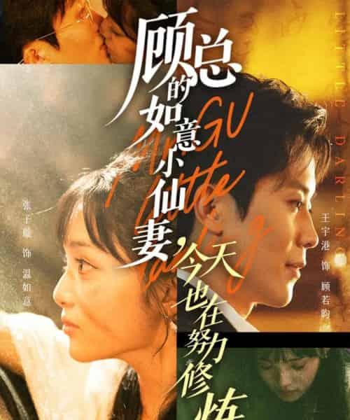 顾总的如意小仙妻，今天也在努力修炼（60集全）王宇港＆张子璇-紫橙资源网