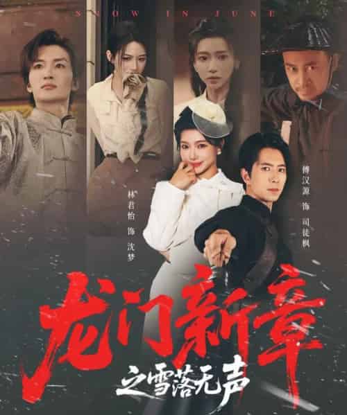 龙门新章之雪落无声（62集全）傅汉源＆林君怡-紫橙资源网