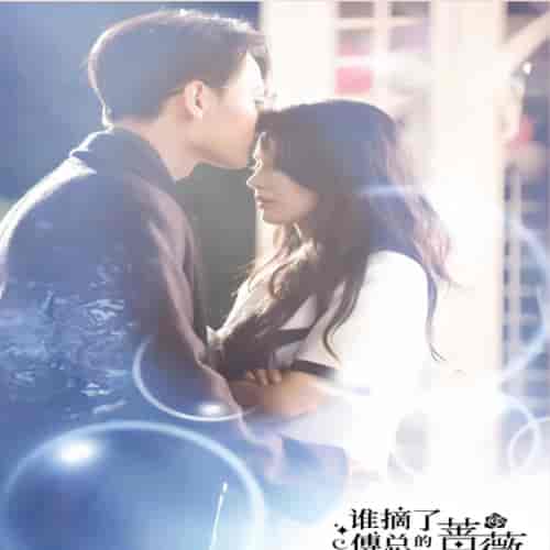 谁摘了傅总的蔷薇（99集）-紫橙资源网