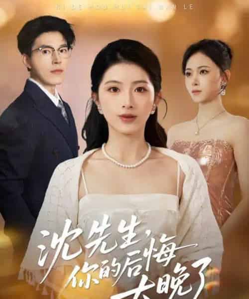 沈先生，你的后悔太晚了（40集全）肖琳＆翟中星＆王慧珠-紫橙资源网