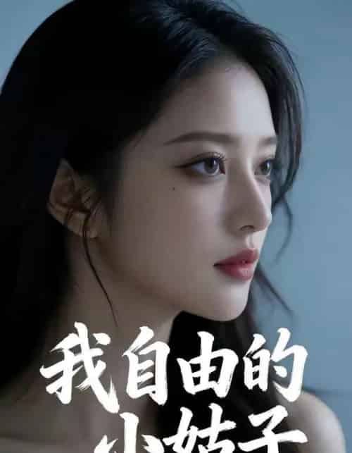 我自由的小姑子（42集全）AI-紫橙资源网