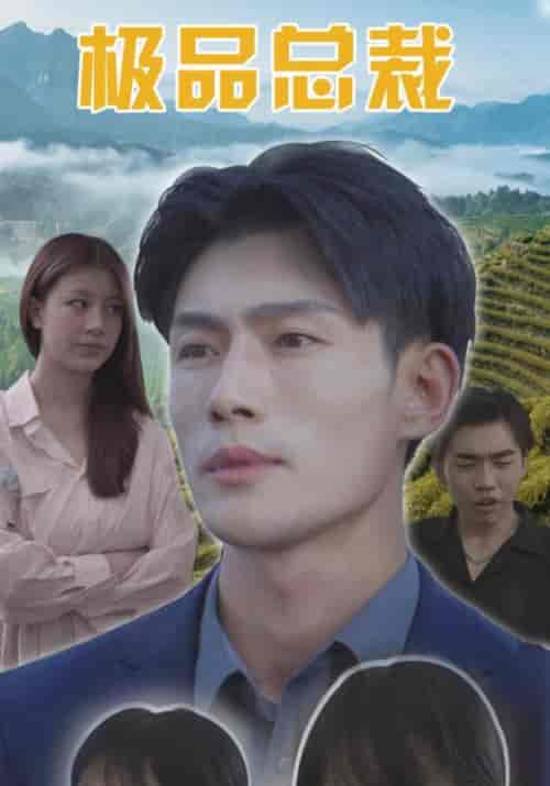 极品总裁（99集全）陆凌轩＆宋菲-紫橙资源网