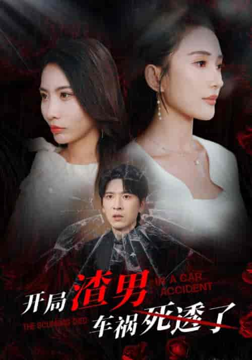 开局渣男车祸死透了（38集全）顾羡诚＆季宁心-紫橙资源网