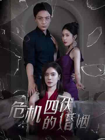 危机四伏的婚姻（56集）-紫橙资源网