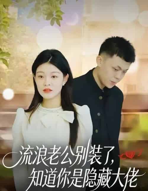 流浪老公别装了,知道你是隐藏大佬(18集全)尹子豪&栗子-紫橙资源网
