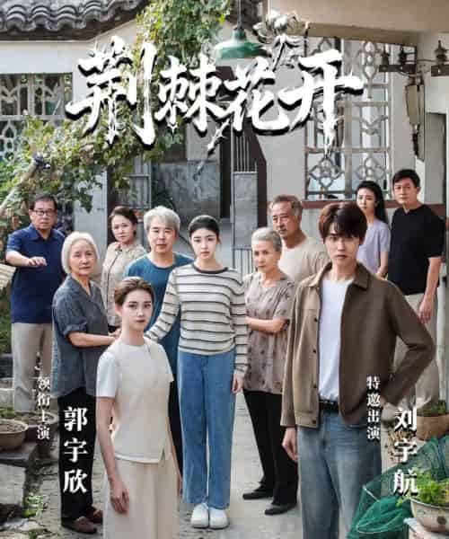 jing|棘花开(60集全)刘宇航&郭宇欣-紫橙资源网