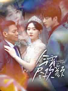 今宵尽欢颜（99集）-紫橙资源网