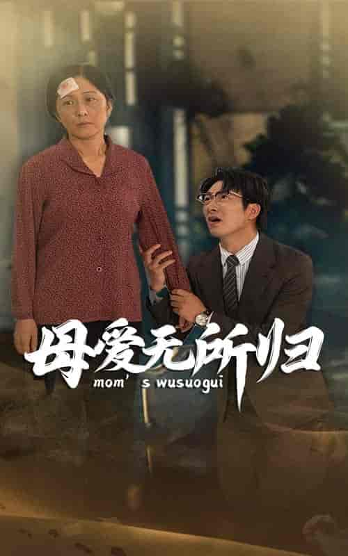 母爱无所归（33集）-紫橙资源网