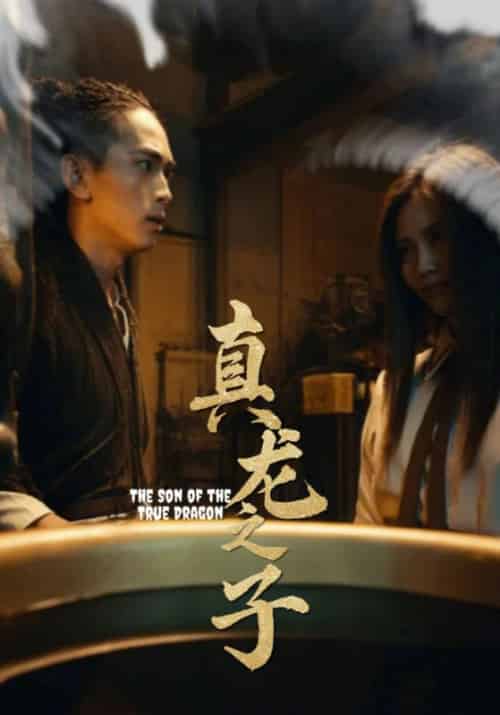 真龙之子（20集全）秦玦＆张清濯-紫橙资源网