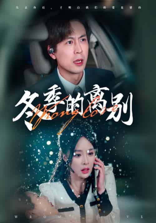 冬季的离别(41集全)陆煜城&饶思曼-紫橙资源网