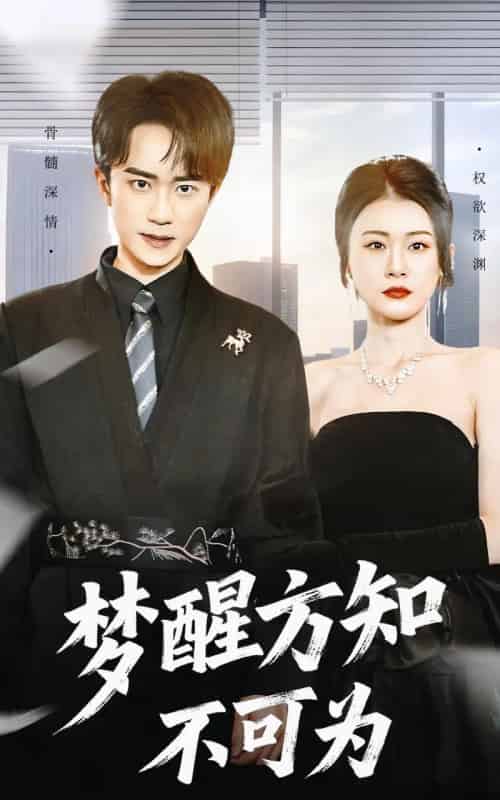 梦醒方知不可为（49集全）李永臻＆叶一宁-紫橙资源网