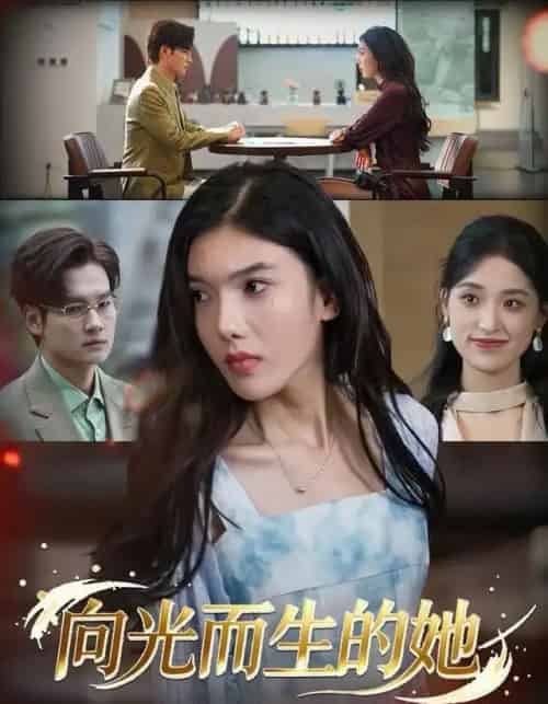 向光而生的她（36集全）王子茜＆刘国文-紫橙资源网