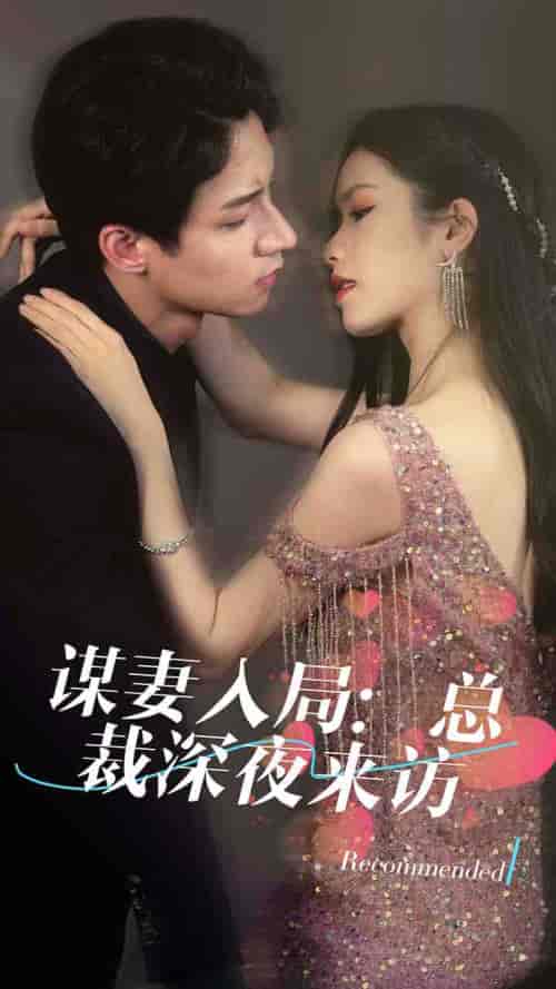 谋妻入局:总裁深夜来访(108集)-紫橙资源网
