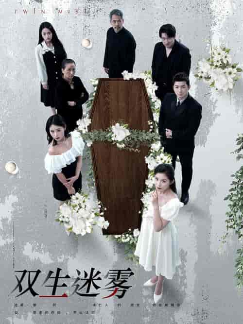 双生迷雾(80集)-紫橙资源网