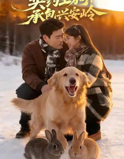 重生86：契约土狗，承包兴安岭（80集全）王冠程＆李可馨-紫橙资源网