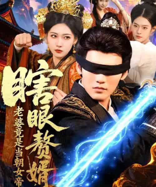 瞎眼赘婿,老婆竟是当朝女帝(84集全)林准-紫橙资源网