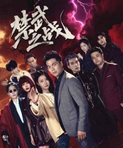 禁武之战（60集）-紫橙资源网