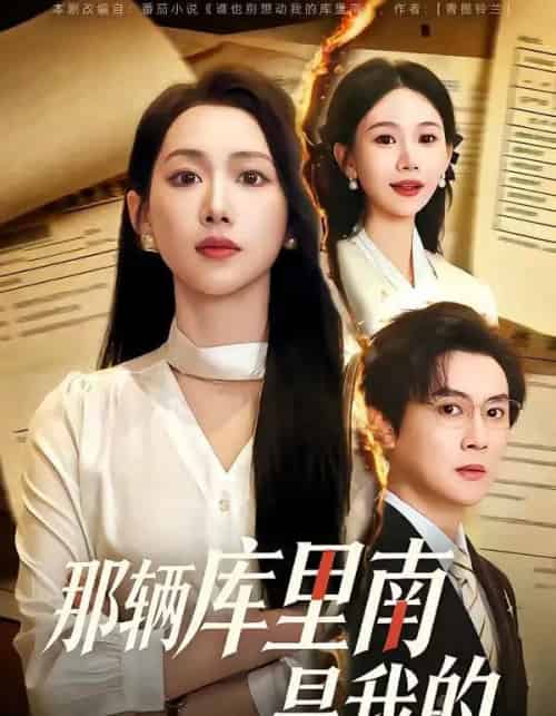 那辆库里南是我的（61集全）宋星翰＆赵婧祎-紫橙资源网