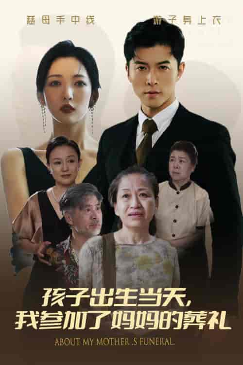 孩子出生当天，我参加了妈妈的葬礼（75集全）赵琪琪-紫橙资源网