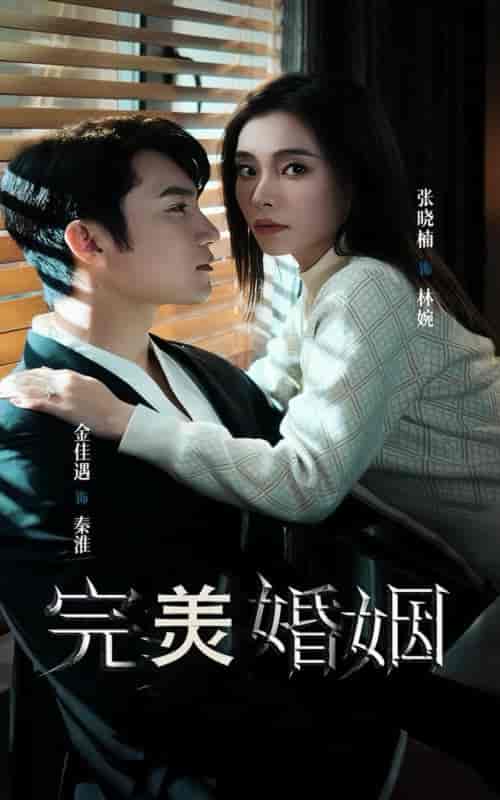 完美婚姻（65集全）金佳遇-紫橙资源网